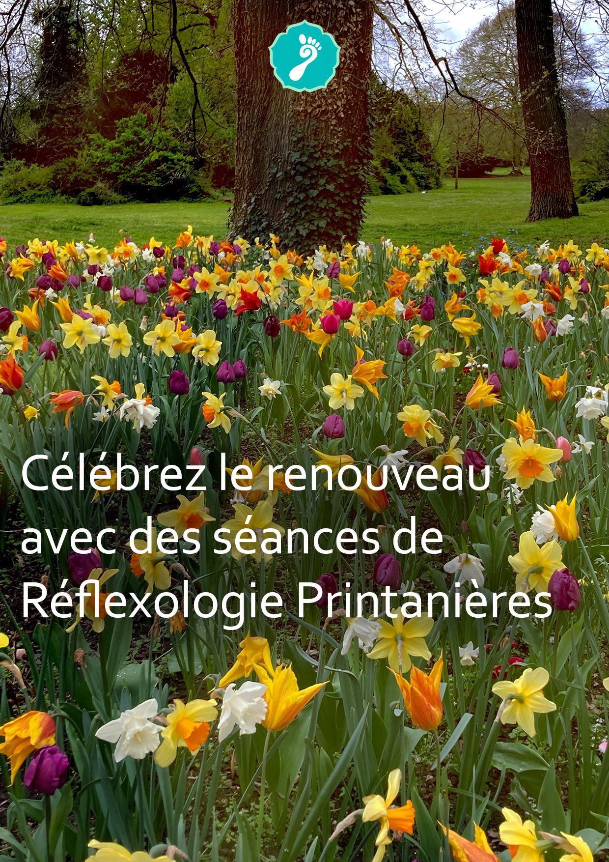 Offre Spéciale Printemps : Revitalisez Votre Corps et Votre Esprit avec la Réflexologie Tao Wei